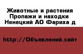 Животные и растения Пропажи и находки. Ненецкий АО,Фариха д.